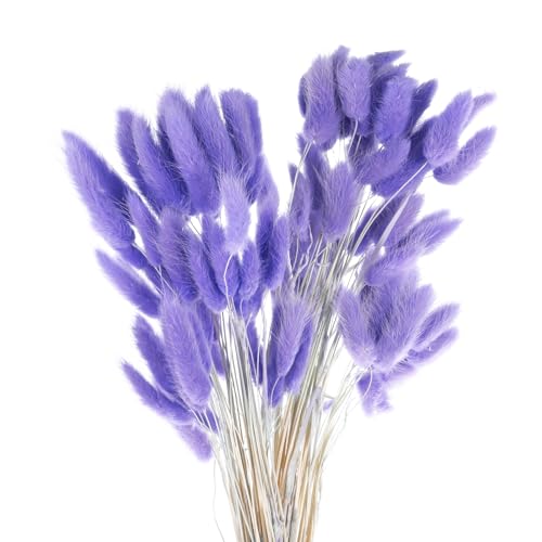 QUARKZMAN 120 Stück Natürliche Kaninchenhäschen-Schwänze Getrocknete Blumen 24" Mini-Pampasgras Lagurus Ovatus Bund für Florale Hochzeitsdekoration Weihnachten, Lavendel Lila von QUARKZMAN