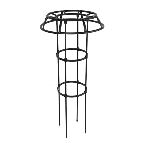 Rostfreier Stützpfahl aus Stahlrohren für Kletterpflanzen, 50 cm Durchmesser, Einfache Installation und Dekorativer Effekt für Rosen, Tomaten und Gurken (3 Schichten) von Qcwwy