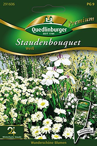 Staudenbouquet weiß von Quedlinburger Saatgut Staudenbouquet weiß von Quedlinburger Saatgut von Quedlinburger