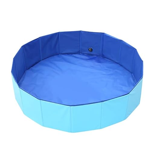 Queta Planschbecken für Hunde und Kinder PVC Hundepool für Große & Kleine Hunde Faltbare Hundebadewanne rutschfeste Schwimmbad für Hunde Swimmingpool Badewanne Wasserbecken für Hunde (120 x 30cm) von Queta