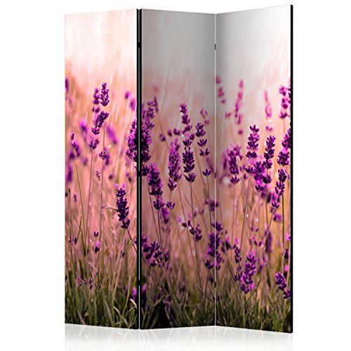 murando Raumteiler Lavendel Natur Wiese Foto Paravent 135x172 cm einseitig auf Vlies-Leinwand Bedruckt Trennwand Spanische Wand Sichtschutz Raumtrenner violett b-B-0111-z-b von RAUMTEILER / PARAVENT B&D XXL