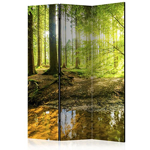 murando Raumteiler Wald Baum Natur Foto Paravent 135x172 cm einseitig auf Vlies-Leinwand Bedruckt Trennwand Spanische Wand Sichtschutz Raumtrenner grün c-B-0183-z-b von RAUMTEILER / PARAVENT B&D XXL