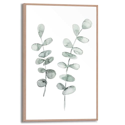 REINDERS Gerahmtes Bild Eukalyptus Botanisch - Pflanze - Natur - Blätter - Slim Frame MDF 20 x 30 cm Grün Küche Botanic von REINDERS