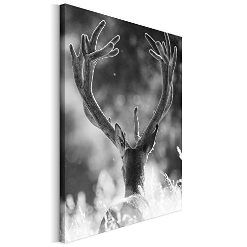 REVOLIO 50x75 cm Leinwandbild Wandbilder Wohnzimmer Modern Kunstdruck Design Wanddekoration Deko Bild auf Leinwand Bilder 1 Teilig - Natur Hirsch Geweih schwarz-weiß von REVOLIO