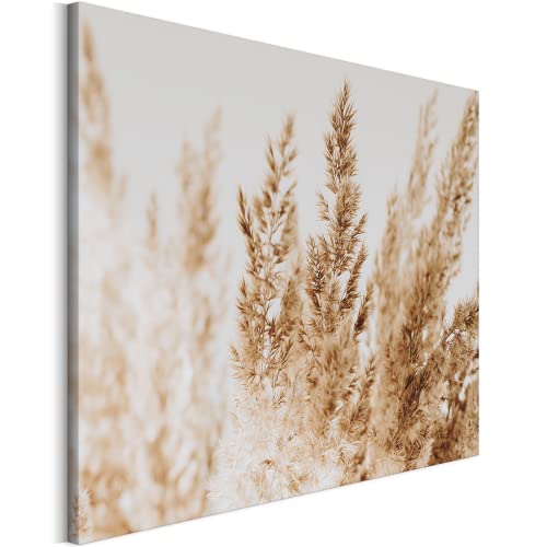 REVOLIO 90x60 cm Leinwandbild Wandbilder Wohnzimmer Modern Kunstdruck Design Wanddekoration Deko Bild auf Leinwand Bilder Schlafzimmer 1 Teilig - Beige Boho Gras Trockene Pflanzen von REVOLIO