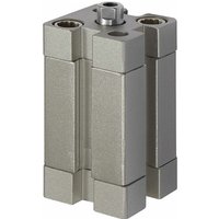 Kompaktzylinder, doppeltwirkend, ig, k-ø 25, Hub 5, M5, ISO21287 - Riegler von RIEGLER