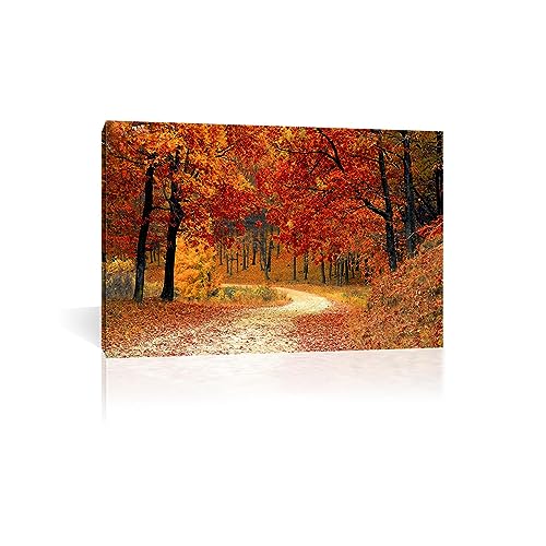 Landschaft Druck auf Leinwand, Panorama auf Leinwand, Herbstwald Natur Leinwandbilder Bild auf Leinwand Vlies Wandbild Kunstdruck Wanddeko Wohnzimmer30x40cm 12"x16"innerer Rahmen von RKGHDCX