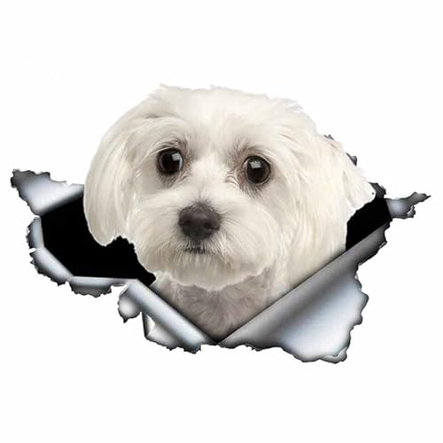 Schöne Malteser Hund Auto Aufkleber Dekoration Wasserdicht Fenster Boot Aufkleber Motorrad Abdeckung Scratch PVC Aufkleber 20 Cm(2Stück) von ROMOER