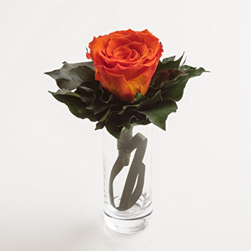 Blumenstrauß langhaltend Ewige Rose konserviert mit Glasvase haltbar 3 Jahre von ROSEMARIE SCHULZ GmbH Heidelberg (Orange) von ROSEMARIE SCHULZ
