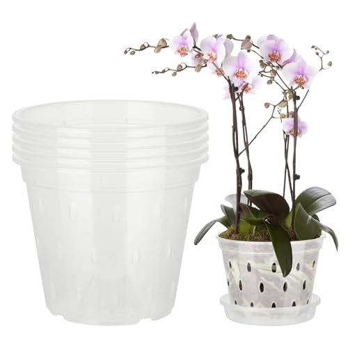 RTYUSWL 5 Stück Orchideentöpfe mit Löchern, Kunststoff-Blumentopf Zum Umtopfen, Atmungsaktiv, Geschlitzter Orchideen-Übertopf für Gemüse, Obst, Blumen, Kräuter, Sukkulenten,(5 Zoll/5 Stück) von RTYUSWL