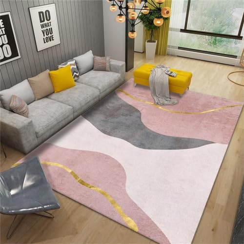 RUGMRZ Weicher Teppich 170x240CM Teppich büro Hübscher Teppich Rosa Grauer moderner minimalistischer Design-Kuschelteppich für Mädchen von RUGMRZ