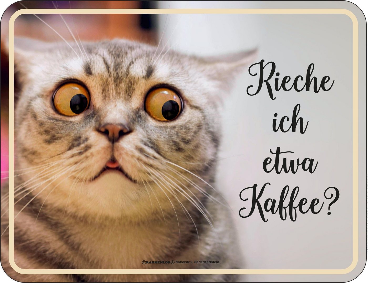 RAHMENLOS® Metallschild für Katzenfreunde: Rieche ich etwa Kaffee? von RAHMENLOS®