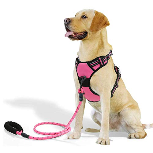 Raining Pet Hundegeschirr Hunde Geschirr für Große Hunde Anti Zug Geschirr No Pull Sicherheitsgeschirr Kleine Mittlere Hunde Brustgeschirr Rosa L von Raining Pet