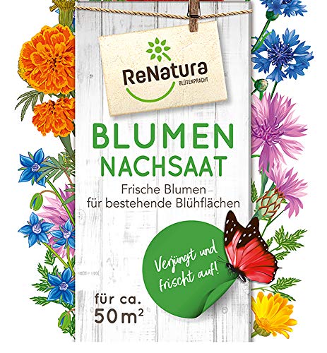 Greenfield ReNatura® Blumen Blumennachsaat für die Auffrischung von Blühflächen reicht für ca. 50 m² von ReNatura