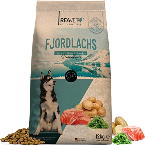 ReaVET Natur Hundefutter Trocken Fjordlachs 12kg – 100% Natürlich Trockenfutter Hund, Getreidefrei für Allergiker, Hunde Trockenfutter, Natur ohne Chemie und künstliche Vitamine von ReaVET