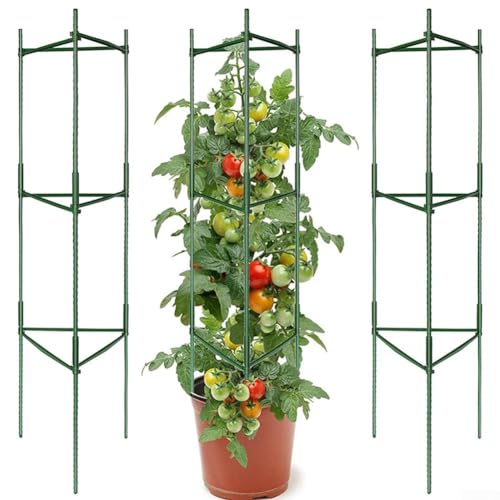 Tomatenstütze, robuster Stahlkern, Tomatenkäfig, verstellbar, für Kletterpflanzen, Gemüse, Blumen, Obstanbau, 3 Stück von ReachMall