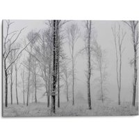 Reinders Wandbild "Aluminium Wandbild Still Natur - Schwarz-Weiss - Wald - Bäume", Stillleben, (1 St.) von Reinders!