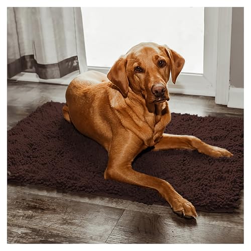 Reiteag tierliebling clean mat,Premium cleany mat Hund 50 x 80 cm,Schmutzfangmatte hundematte,wasserdicht Teppich für Hund,Fußmatte Innen waschbar,für Eingang,Haustür & Flur von Reiteag
