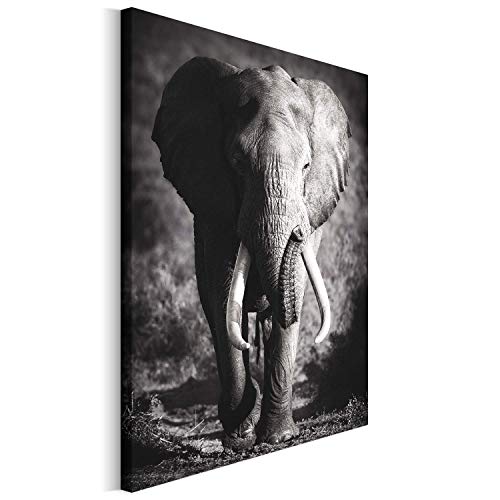 Revolio 60x80 cm Leinwandbild Wandbilder Wohnzimmer Modern Kunstdruck Design Wanddekoration Deko Bild auf Leinwand Bilder 1 Teilig - Elefant Tier schwarz-weiß grau von Revolio