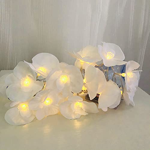 Riaxuebiy Künstliche Phalaenopsis Girlande 20 LED Lichterketten Weiß Blumengirlande Gefälschte Blumen Girlande Hängend Rebe für Hochzeit Party Garten Dekor (Weiße Phalaenopsis, USB) von Riaxuebiy