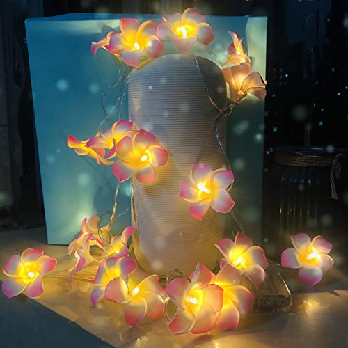 Riaxuebiy Plumeria Künstliche Lichterkette Frangipani Künstliche Blumen LED Fee Lichterketten Batterie für Strand Party Geburtstag Vorschlag Hochzeit Dekor (3 m/20 LED, Rosa) von Riaxuebiy