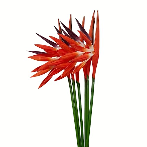 Rikyo Künstliche Blumen, Paradiesvogel, 58,4 cm, permanente Blume, Strelitzia, Tropische Kunstpflanze, Blumensträuße für Büro, Zuhause, Party-Dekorationen, Arrangement, Topfpflanzen (orange) von Rikyo