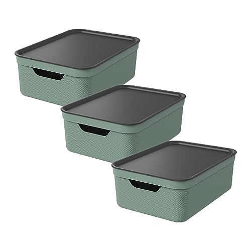 Rotho Jive 3er-Set Aufbewahrungsbox 10l mit Deckel, Kunststoff, grün von Rotho