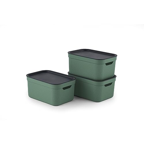Jive Dekobox 3er-Set Aufbewahrungsbox 5l mit Deckel, Kunststoff (PP recycelt), grün/anthrazit, 3x5l (26.5 x 18.5 x 13.2 cm) von Rotho
