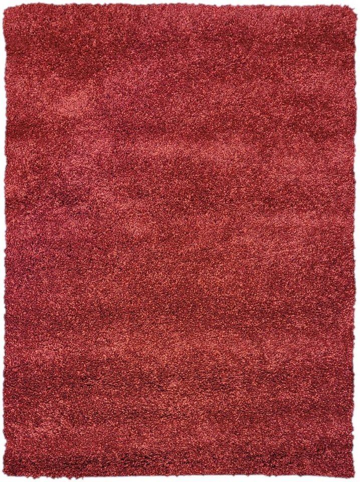 Teppich FERRO, Rug Studios, Rechteckig, Höhe: 35 mm, Balkon, Flur, Küche, modern, Waschbar, weich, 80 x 240 cm, burgund von Rug Studios