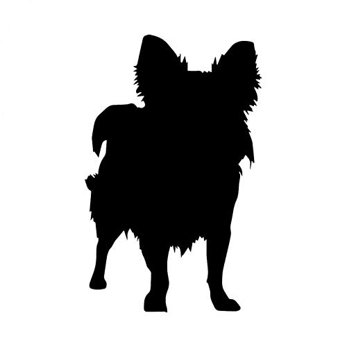 SCSHY Auto-Aufkleber 10.1X15.9Cm Autoaufkleber Lustiges Tier Chihuahua Hund Haustier Tiere Vinyl Aufkleber Schwarz/Silber von SCSHY