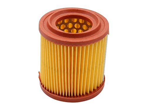 SECURA Luftfilter Filterpatrone kompatibel mit AS Motor 4221 E04221 SECURA Luftfilter Filterpatrone kompatibel mit AS Motor 4221 E04221 von Secura