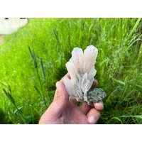 Erstaunliche Stück Rosa Mangano Calcit Auf Quarz Mit Chlorid Natürliche Mineralien Kristall Djircovo Mine Laki Bulgarien von SFmineralsBG