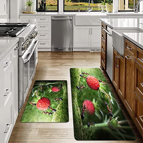 2er Küchenteppich Waschbar Rutschfest Teppich,Ameisen-Erdbeer-Dessert-lustiges Tier-Bild-Ameise vereinigt, die reife Erdbeere-Humor-Natur-Szene bewe,Küche und im Esszimmer Badematten Set mit Rückseite von SHIVNAMI