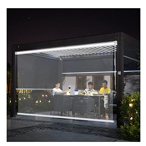 SHUDONGDEN Transparent Wasserdichtes Roll-Up-Rollo,Transparente Rollo,Rollos Outdoor Pergola Rollo Jalousie, PVC Transparent Vinyl Wasserdichter Vorhang,160x250cm/62.9x98.4in von SHUDONGDEN