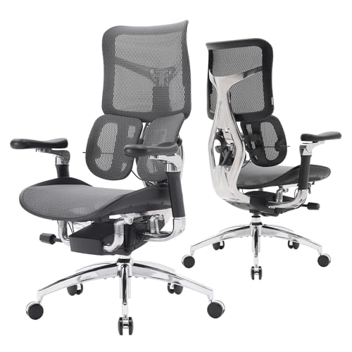 SIHOO Doro S300 Ergonomischer Bürostuhl, Computerstuhl, Gaming-Stuhl mit dualem dynamischem Lendenwirbelstützsystem, 6D-koordinierten Armlehnen, verstellbarem Rollstuhl (Schwarzem Samt-Mesh) von SIHOO