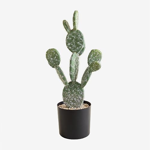 SKLUM Künstlicher Kaktus Opuntie 45 cm ↑45 cm von SKLUM