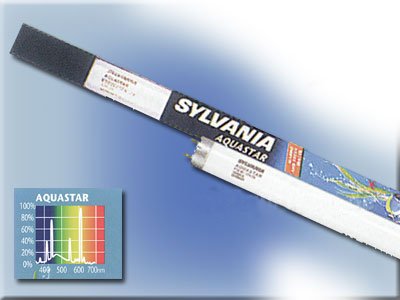 SYLVANIA Leuchtstoffröhre 36 Watt Aquastar von SYLVANIA