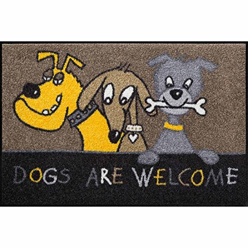 Salonloewe Fußmatte Dogs Are Welcome 50x75 cm Eingangs-Türmatte Hunde Fussabtreter lustig von Salonloewe