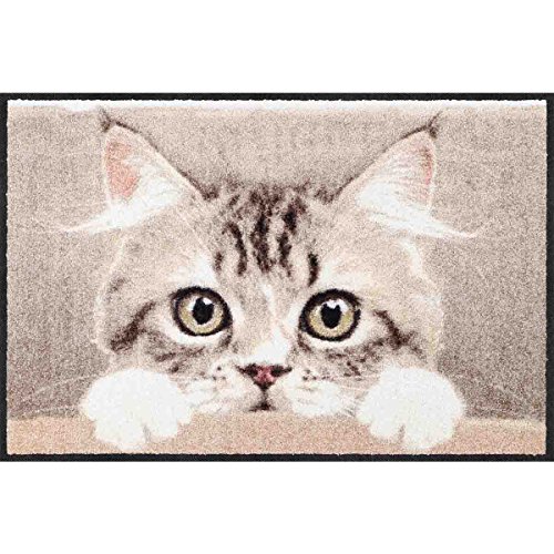 Salonloewe Nosy Cat Fußmatte 50 x 75 cm Schmutzfangmatte waschbar Katze Eingang Tür Motiv Fussabtreter von Salonloewe