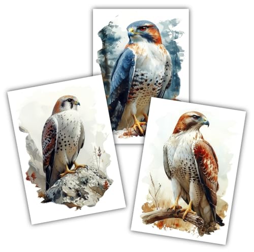 Samunshi® 3 Stück Kunstdruck Vogel Set mit Raubvögeln Falke Sperber Bussard Bilder für Jugendzimmer Deko Geschenk DIN A3 29,7x42cm von Samunshi