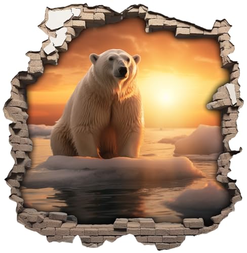 Samunshi® Wanddeko Wandriss mit Eisbär Fenster in andere Welt Portal Wallart Wandtattoo für Wohnzimmer Küche Wandaufkleber Wandsticker 70x70cm von Samunshi