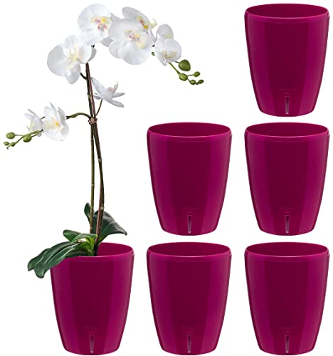 Santino 6er-Set Selbstbewässernder Topf mit Dochtsystem und Wasserstandsanzeige für den Innenbereich, Orchideentopf D 12cm (Purple, 1,3L) von Santino