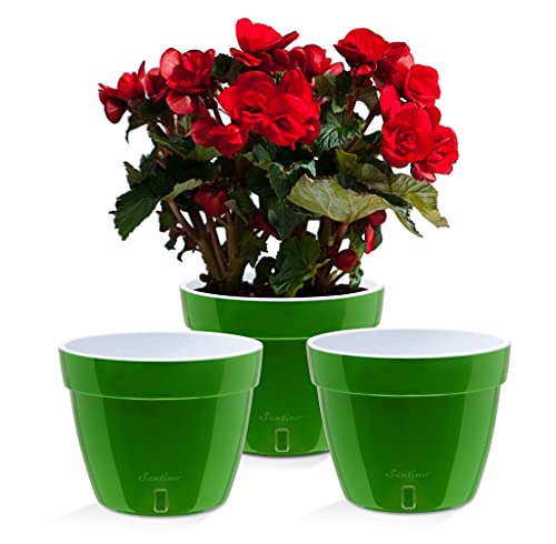 Santino ASTI 3er Set 23CM Selbstwässernder Blumentopf mit Wasserstandsanzeiger - Rund Premium Qualität Innen Blumentopf für Anlagen, Blumen, Kräuter (Ø 23,5 cm, H 18 cm, 6L - Green-Gold/White) von Santino