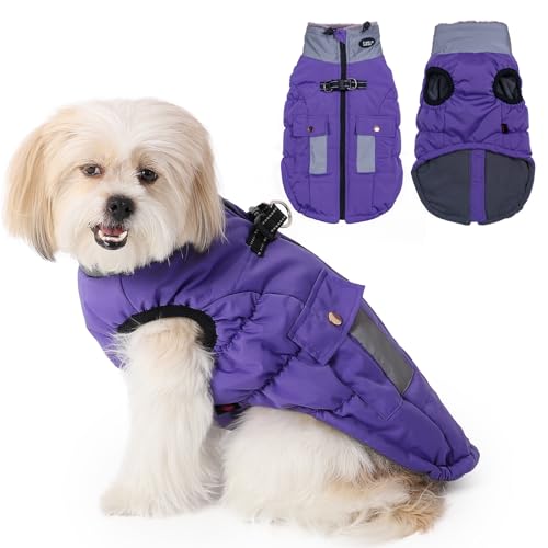 Savlot Wasserdicht Hundemantel, Kaltes Wetter Winter Warme Jacke für Kleine Mittlere Große Hunde, Hundepullover mit Fleece Gefütterte Reflektierend Welpen Winterweste, Haustierbekleidung(L, Lila) von Savlot