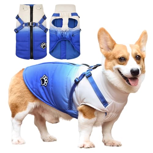 Savlot Hundejacken für den Winter Wasserdichter Hundemantel Winter Warme Jacke Welpen Winter Warme Jacke Kleines Hundejacke Outfit für kleine mittel Hunde(S, Blau) von Savlot