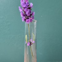 Bergdala Glas Vase, Schweden, Kunst von ScandiVintageHunt