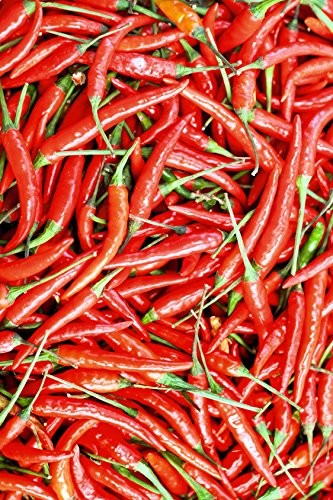 Seedeo® Chili Lanterna de foc (capsicum annuum) 30 Samen BIO von Seedeo Gemüse Raritäten