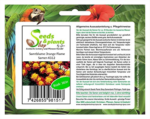 Stk - 165x Samtblume Orange Flame Saatgut Garten Pflanzen - Samen K312 - Seeds & Plants Shop by Ipsa von Seeds & Plants Shop by Ipsa
