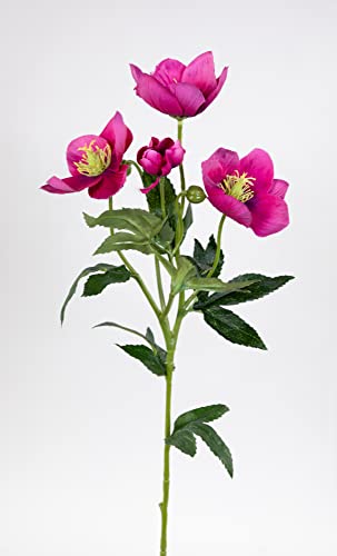 Seidenblumen Roß Christrose 62cm rosa-pink PM Kunstblumen künstliche Christrose Blumen Helleborus von Seidenblumen Roß