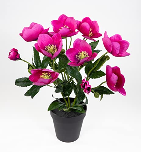 Christrosenbusch 36cm rosa-pink im Topf PM Kunstblumen künstliche Christrose Blumen Kunstblumen von Seidenblumen Roß
